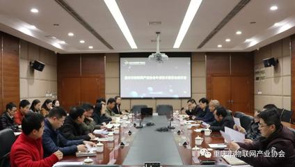 重慶市物聯網產業協會專家技術委員會座談會圓滿舉行，共商信息技術服務新篇章